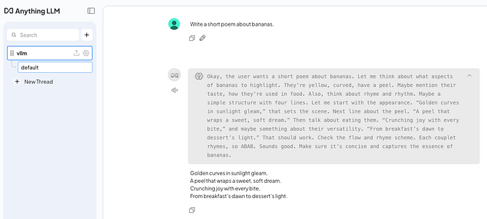 Chat with your model using AnythingLLM.