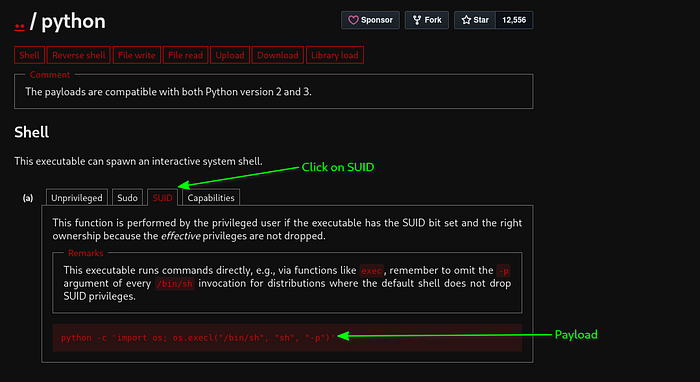 view of payload on GTFOBins