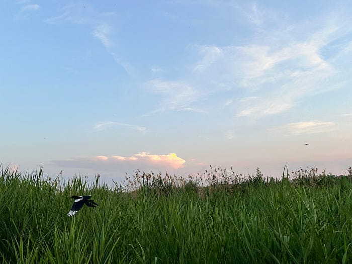 TWAP & VWAP Fiyat Algoritmaları image - e0ac TWAP & VWAP Fiyat Algoritmaları image - e0ac