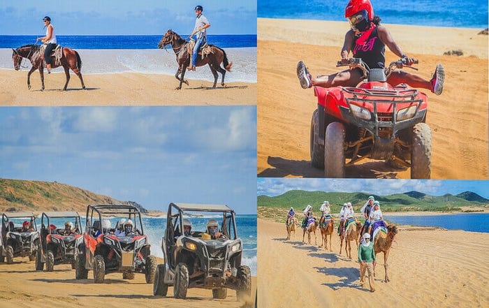 Combo Tours, Camel Riding, Horsesm ATV,s & Buggies