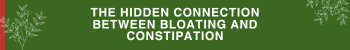 Connection Between Bloating and Constipation