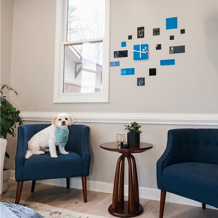Dog Therapy In Dentistry Strive Dental Studio Medium dog-therapy-in-dentistry-strive-dental-studio-medium