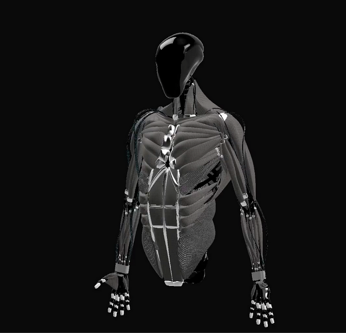 Clone Torso