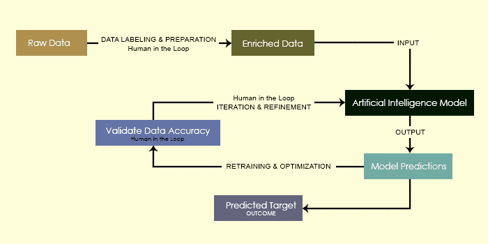 “Through the Lens of Machine Learning: A Data-Driven Perspective on Our ...