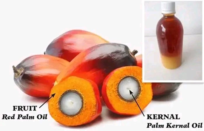 10 Amazing Benefits Of Palm Kernel Oil
