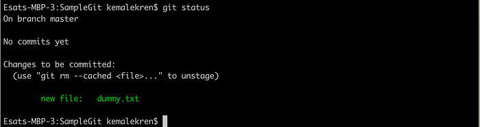 git status with staged file