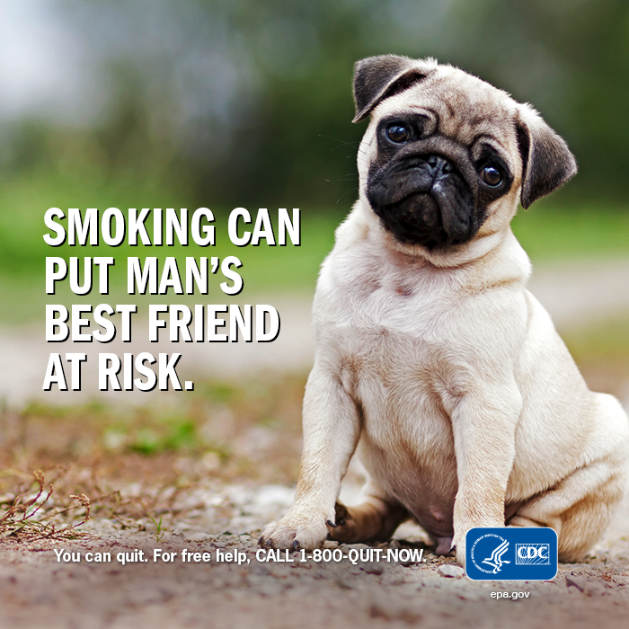 is it haram to smoke cigarettes Why has Smoking not been declared Haram by now?