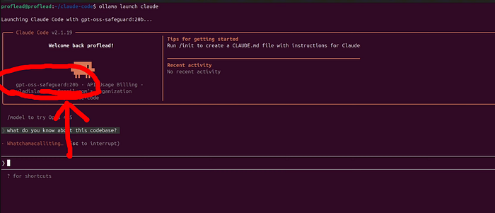 Now your Claude code works with Ollama