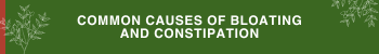 Common Causes of Bloating and Constipation
