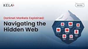 Darknet Market Reputation