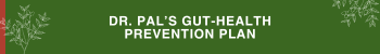 Dr. Sandeep Pal’s Gut-Health Prevention Plan