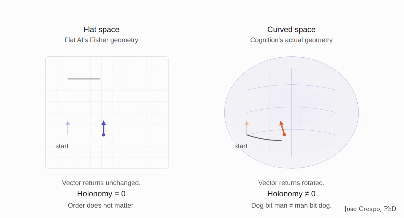 Anthropic Found the Curve They just have not put it in the architecture yet. Carry a vector around a closed loop. In flat space, it returns unchanged, which is another way of saying that order does not matter in flat space. In curved space, it returns rotated, and the angle of rotation is the holonomy. That rotation is the signature of meaning: dog bit man and man bit dog land at different positions on the curved manifold of cognition because the order of the loop changed, and the geometry reme