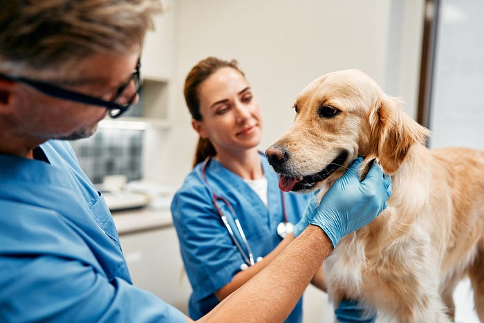 pet clinic Shawnee Kansas