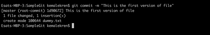 git commit