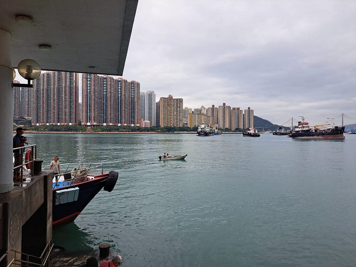 妹豬初釣櫃底賞銀杏