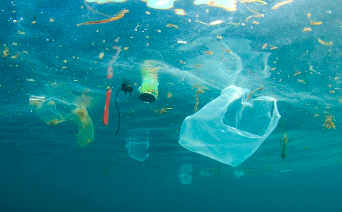 Por qué debemos evitar el plástico? Peligros para la salud y Consejos