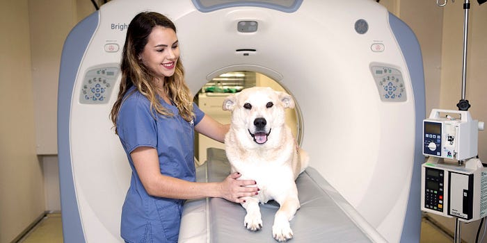 Pet clinic Oradell NJ