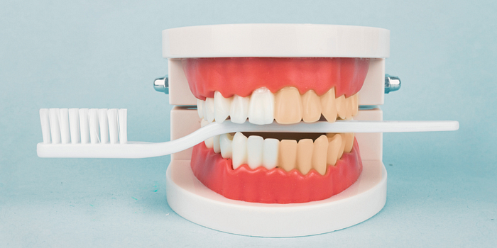Dental Peptide Suppliers