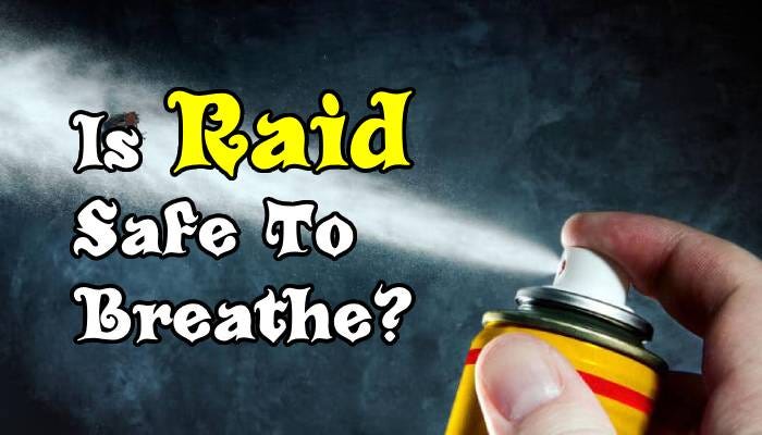 Is Raid Safe To Breathe? Unveiling the Truth | by Lovely Household | Medium