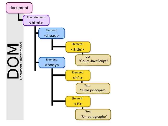 DOM (Document Object Model). The Document Object Model, often… | by ...
