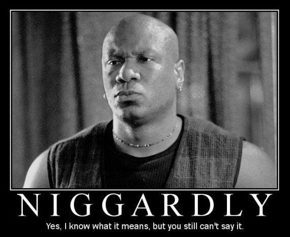 Niggardly definition 2024