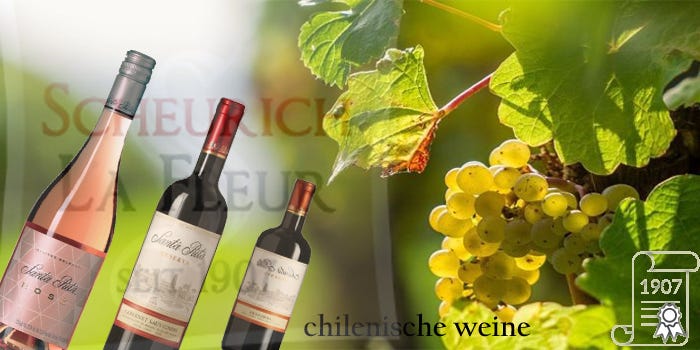 Mesmerised with the smell of Chilean wines? Know from where you can buy it!