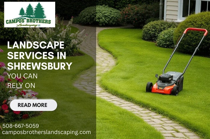Transform Your Yard: Expert Lawn Care Shrewsbury MA