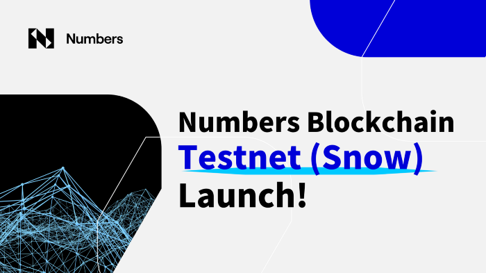 Testnet (Snow) of Numbers Blockchain Launch! | by Akash | Medium