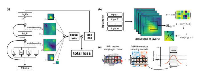 This study analyzes the alignment of large language models (LLMs) with the human brain’s language network across 34 training checkpoints. It reveals that brain alignment closely tracks formal linguistic competence, such as linguistic rules, while functional competence, including reasoning, develops less strongly. The research also shows that model size isn’t a reliable predictor of brain alignment and highlights opportunities to improve future LLMs for better language performance.