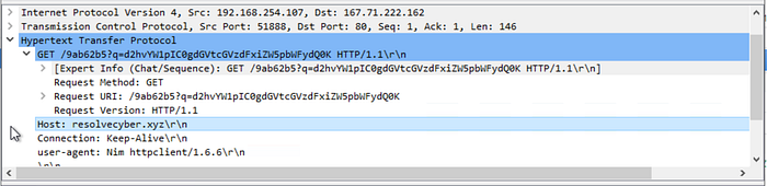 Wireshark screenshot showing the domain and destination port on the encoded traffic packets.