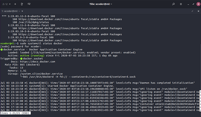 Docker status