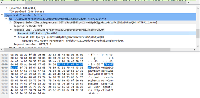 Wireshark packet details showing the URI path.