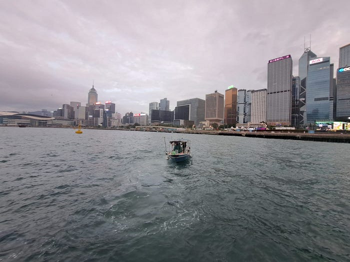 好友初戰維港遇銀杏