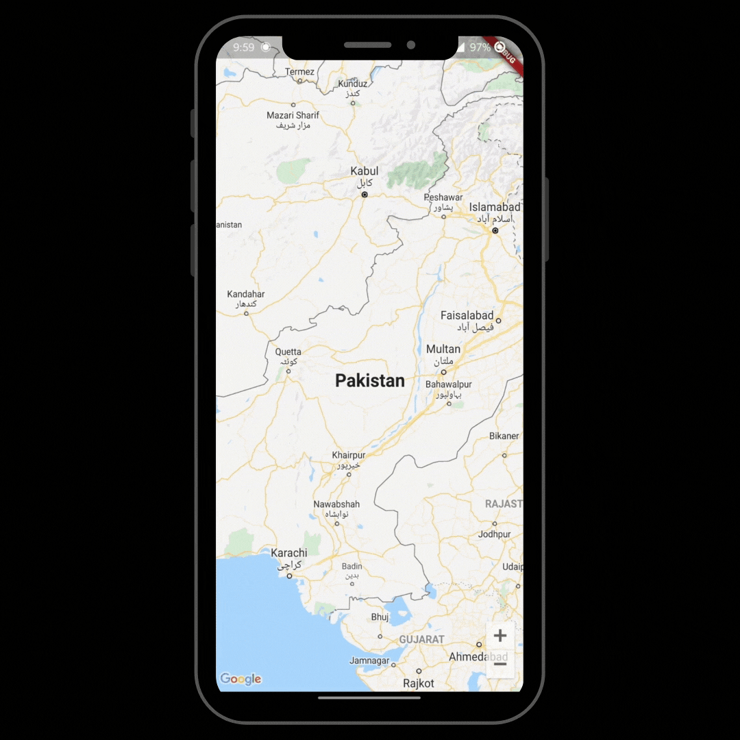 google maps flutter view
