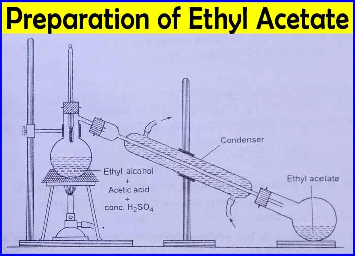 How is Ethyl Acetate made? Properties Uses Chemistry Page Medium