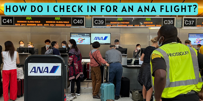 How Do I Check in For an ANA Flight? | by Airways Manage Booking | Dec ...