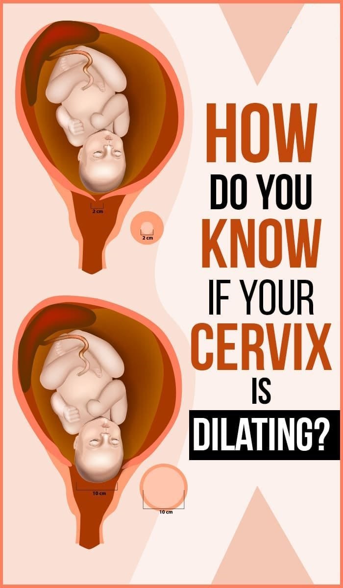What is the Cervix ! All you have to know