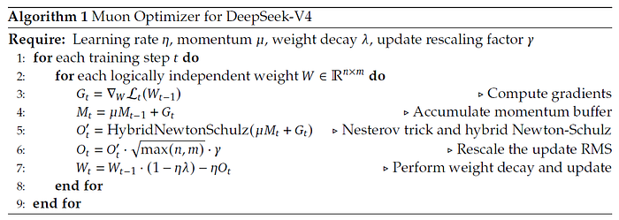 Algorithm 1 Muon