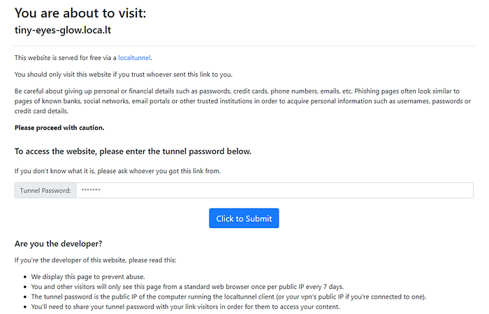 Localtunnel security page.