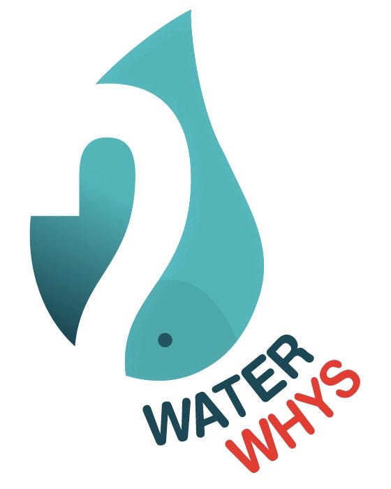 Water Whys Logo — Design A Digital Product For Sustainability by Paul Myers