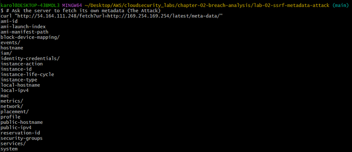 Using the SSRF to list internal metadata categories, confirming I have a “foot in the door.”