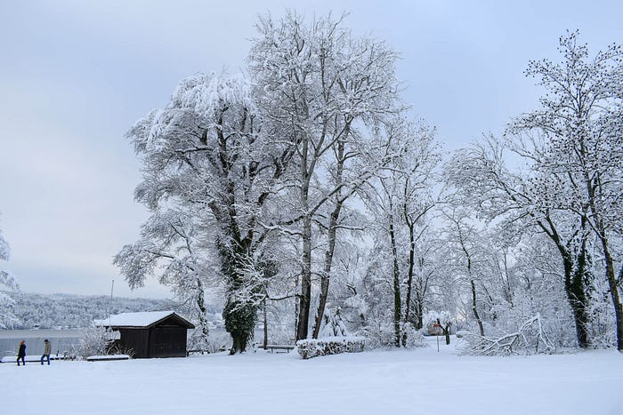 A Walk Along a Swiss Nature Preserve Frozen in Time