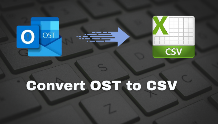Quick Guide to Converting OST Files into CSV Format with Ease | by ...