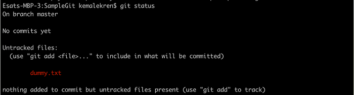 git status with untracked dummy.txt