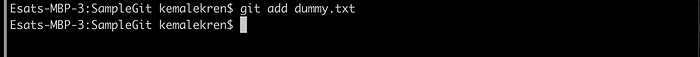 git add dummy.txt