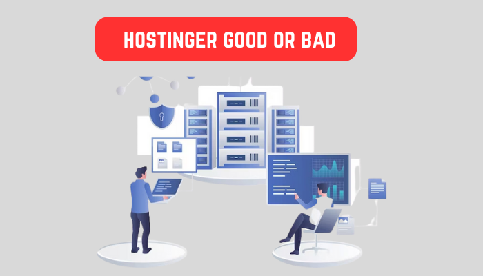IS HOSTINGER GOOD FOR HOSTING visual data 5
