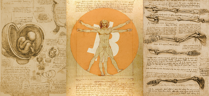 Bitcoin behind the Humbre de Vitruvio from Leonardo De Vinci