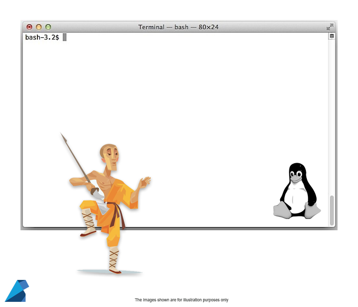 Linux Commands to Spice Up Your Terminal Experience by Rapidcode